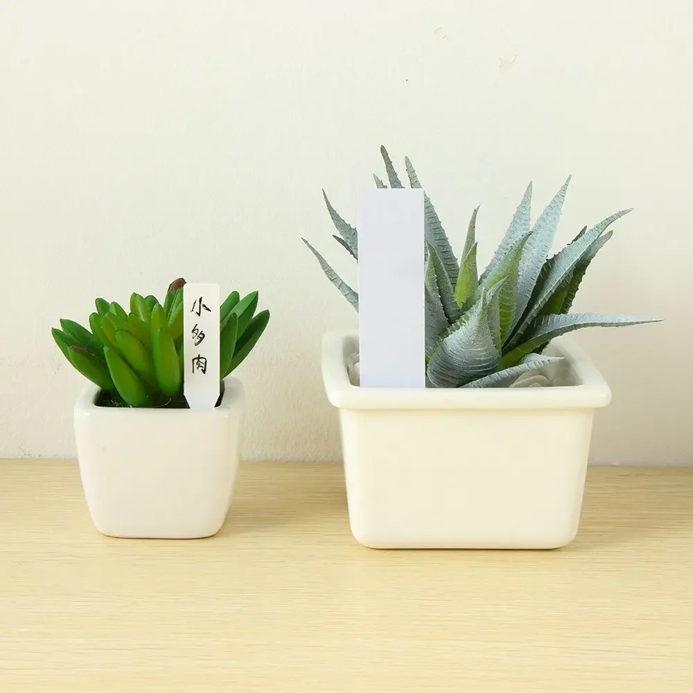 100Pcs 재사용 가능한 분류 마커 방수 씨앗 식물  - Plant Label Tags 리뷰 및 가격