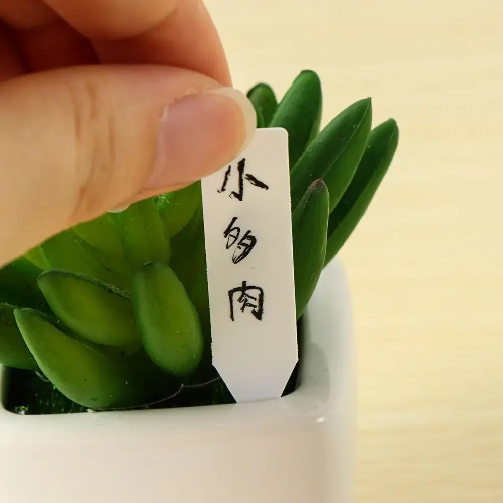 100Pcs 재사용 가능한 분류 마커 방수 씨앗 식물  - Plant Label Tags 리뷰 및 가격