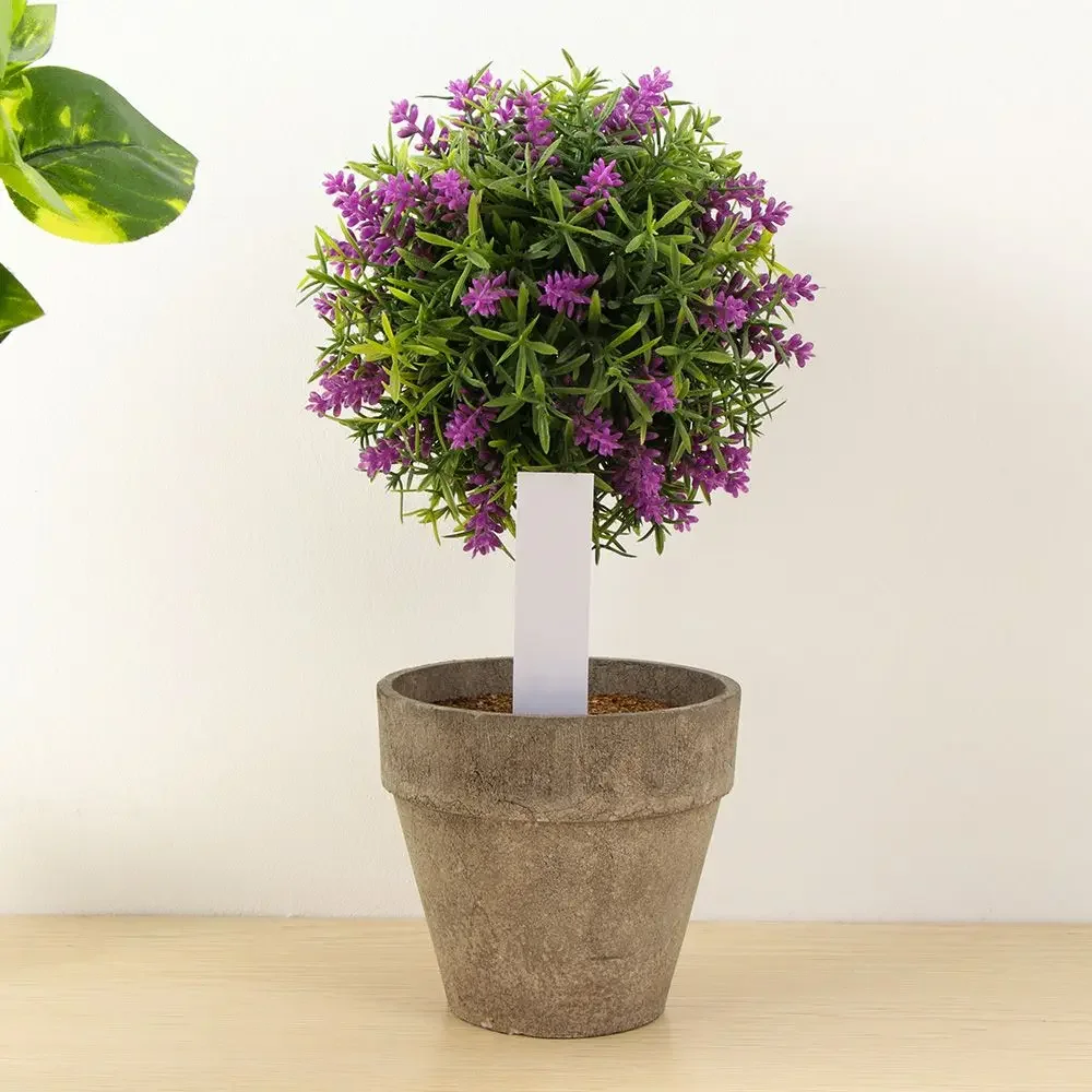 100Pcs 재사용 가능한 분류 마커 방수 씨앗 식물  - Plant Label Tags 리뷰 및 가격