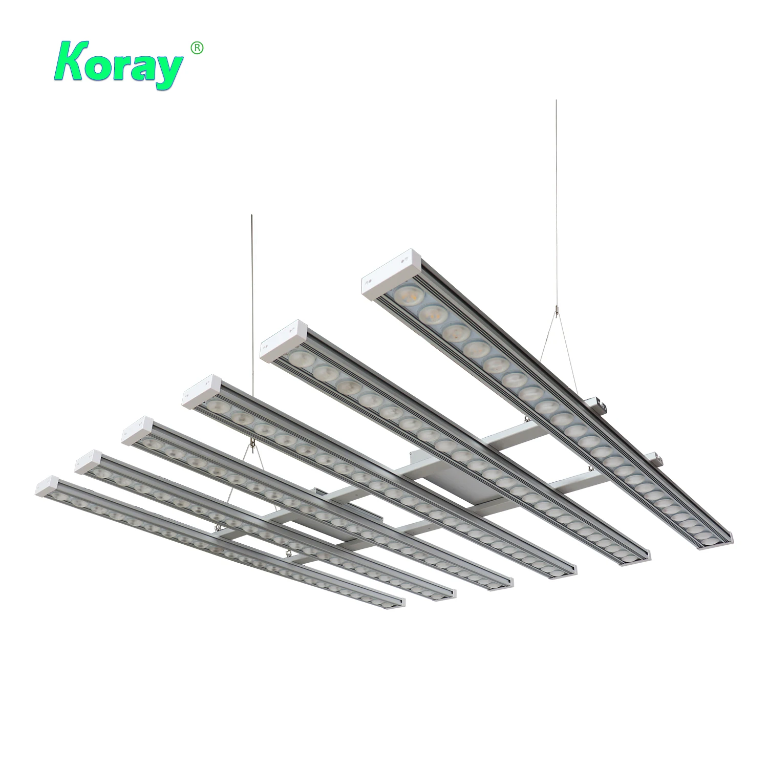 코레이 900W 실내용 풀 스펙트럼 식물등 LED 스트 - Led Grow Light 리뷰 및 가격