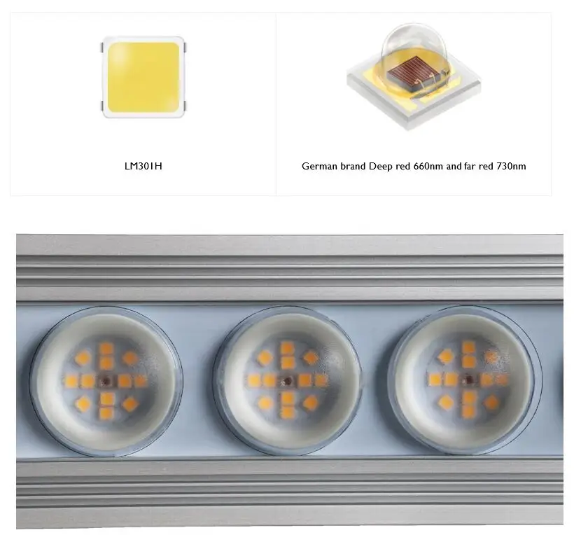 코레이 900W 실내용 풀 스펙트럼 식물등 LED 스트 - Led Grow Light 리뷰 및 가격