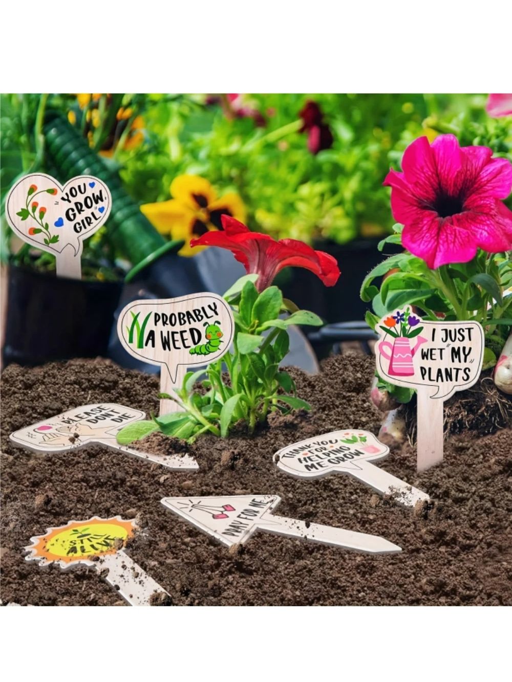 5/10Pcs 다육 꽃과 녹색 식물을위한 식물 라벨 야 - Plant Label Tags 리뷰 및 가격