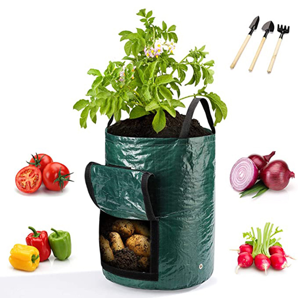 1개 10갤런 용량의 손잡이가 있는 야채 식물 재배용  - Outdoor Planting Bag 리뷰 및 가격